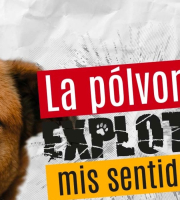 La pólvora explota mis sentidos
